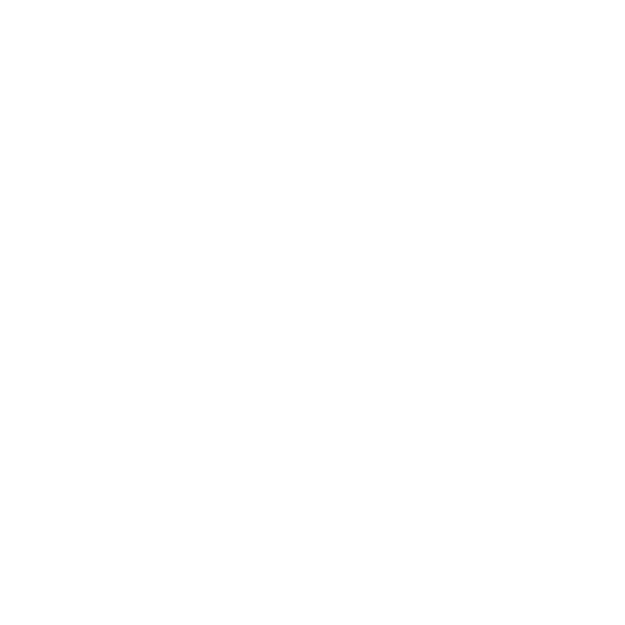 Solvo Global